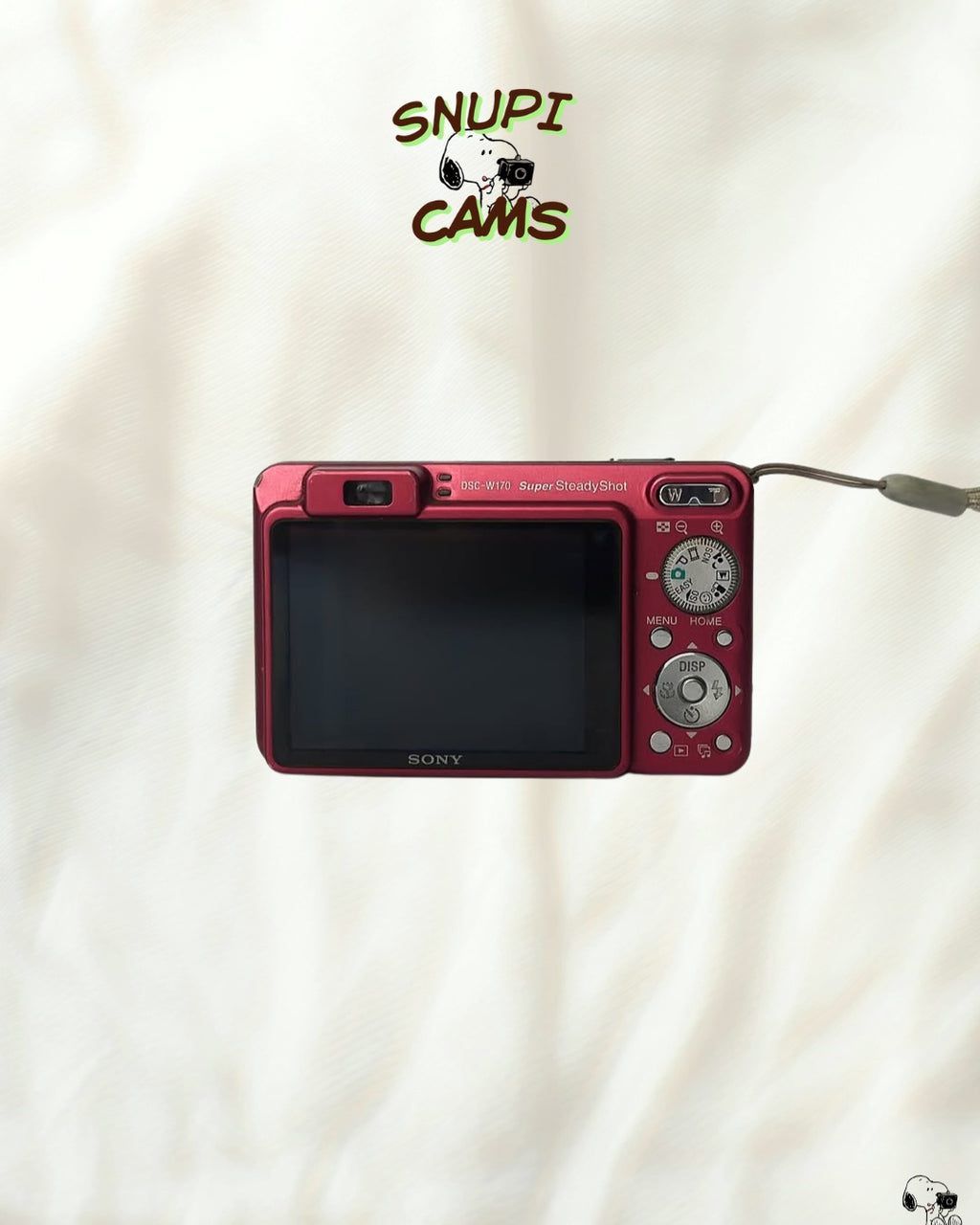 Sony Cybershot DSC-W170 📸